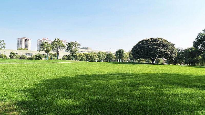 ΰ�¹���������